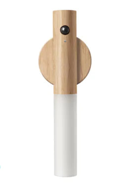 Smart motion sensor night light with automatic LED illumination